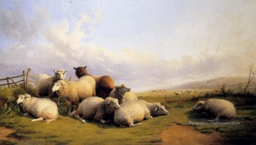  Animaux Tableaux - Moutons dans un paysage étendu Animaux de ferme Thomas Sidney Cooper